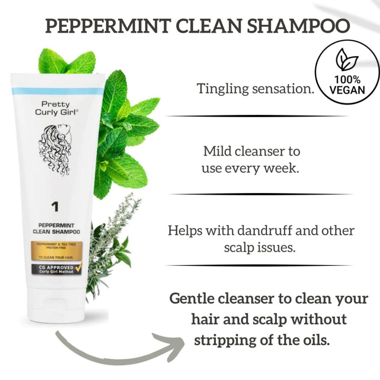 Pretty Curly Girl | Peppermint Clean Shampoo /ab 100ml Mildes Shampoo Pretty Curly Girl